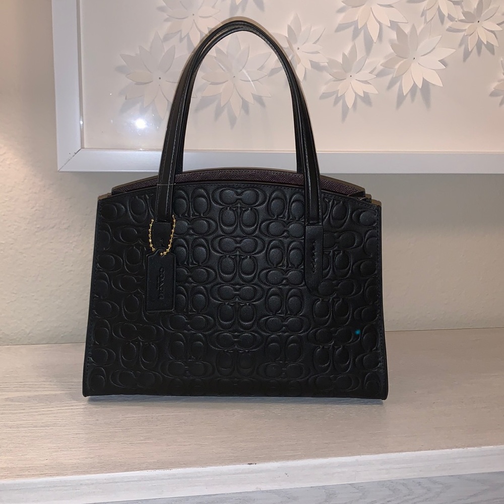 Coach Charlie Carryall 28 Signature Leather bag